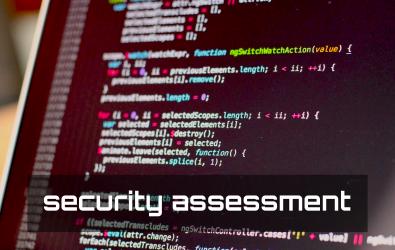Security assessment image